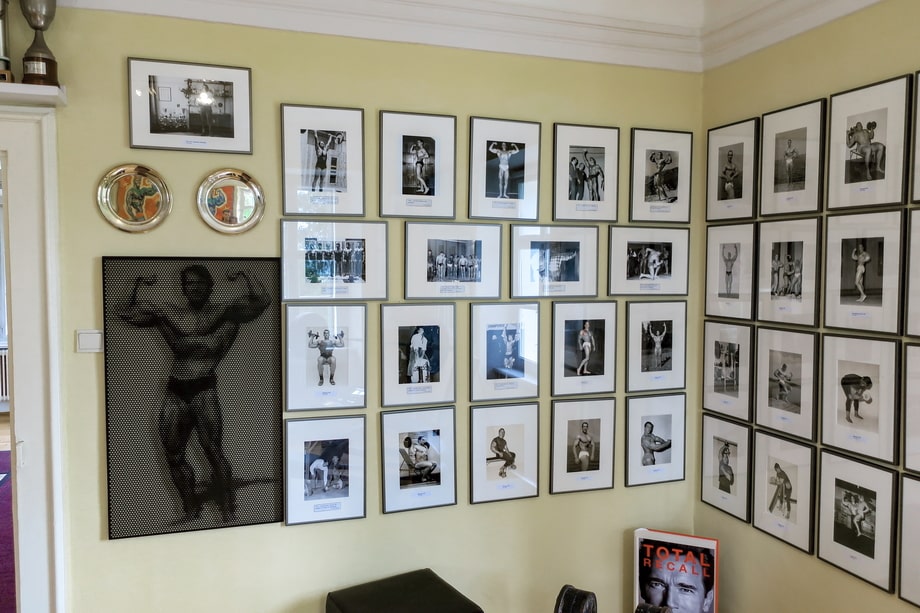 Arnold Schwarzenegger as a bodybuilder