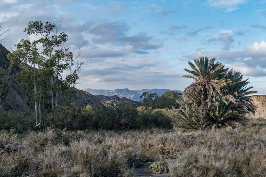 THE OASIS OF LAWRENCE OF ARABIA in the tabernas desert 