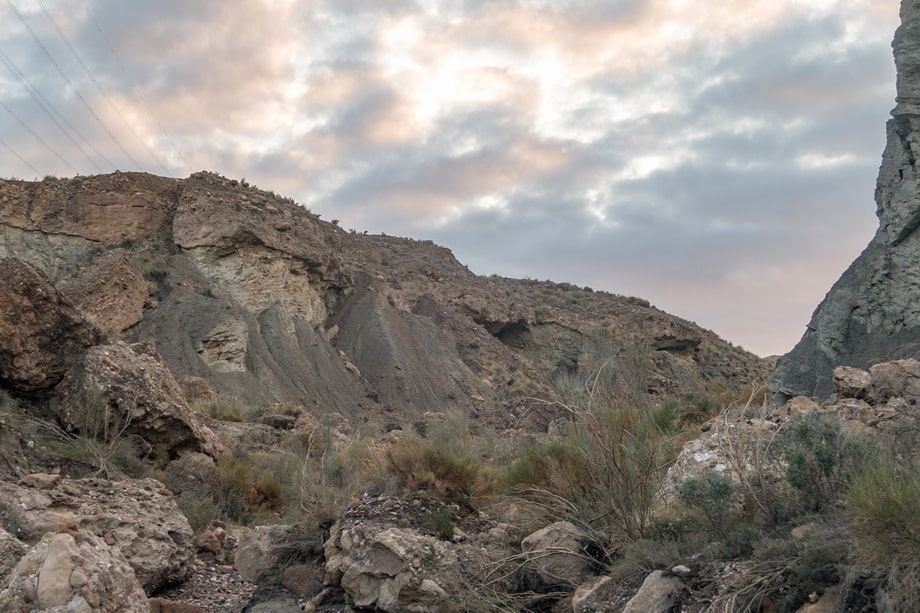 Tabernas desert today