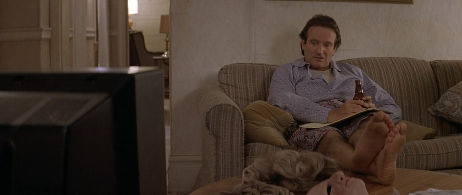 Robin Williams as Daniel Hillard