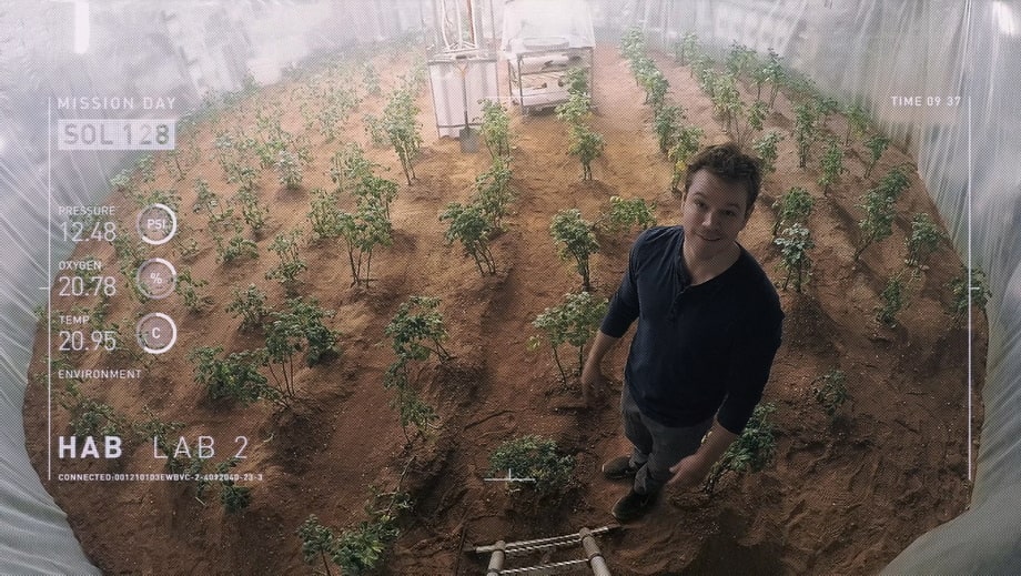 Potato garden the Martian