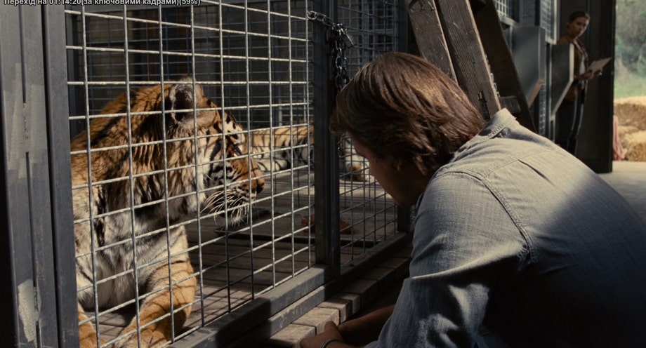 Benjamin and Tiger Spar We bought a zoo