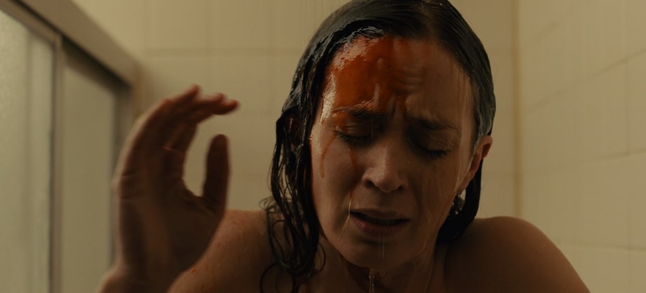 The main character from Sicario movie