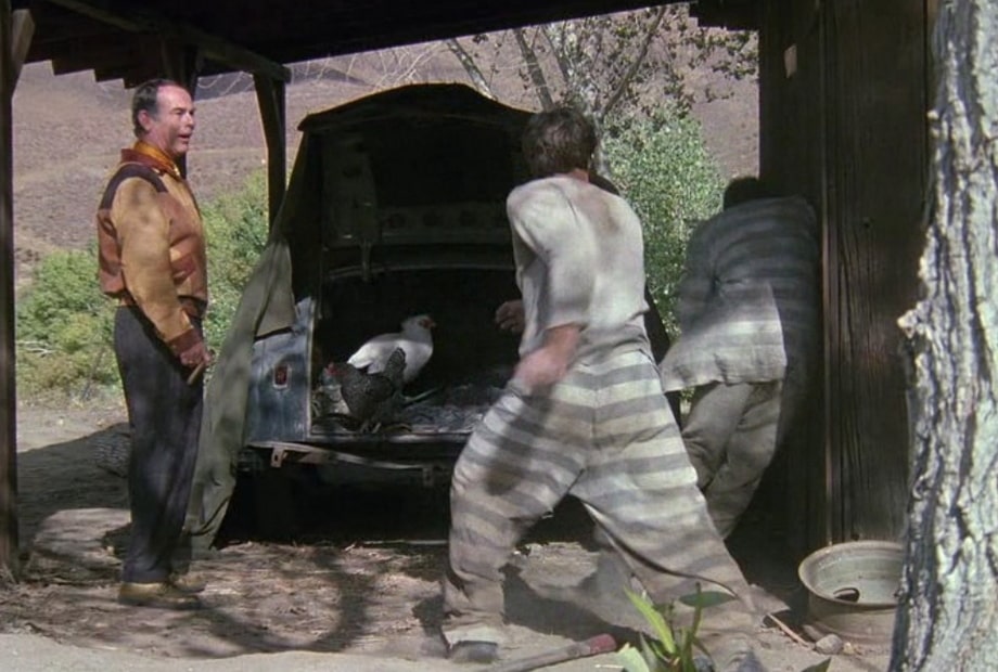 Sam Beckettt martial art